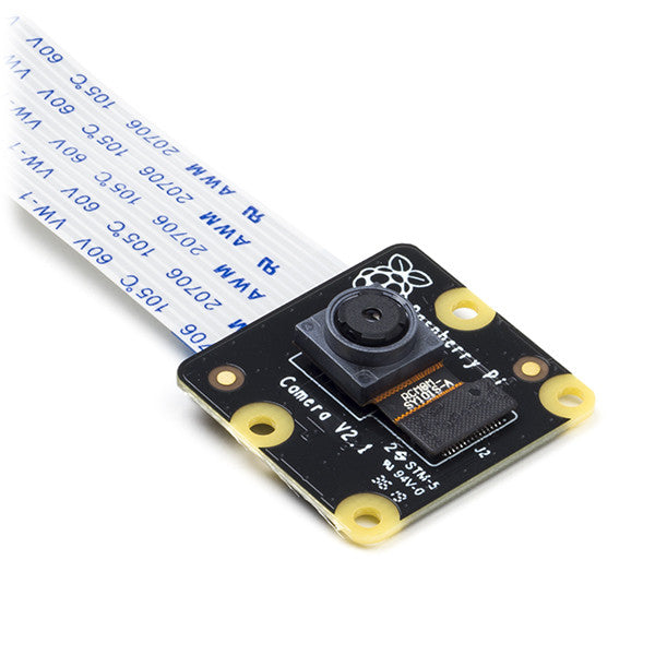 Raspberry Pi V2 infrared NoIR camera board (8MP)