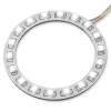 White LED ring