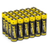 Xtreme Power MN1500 Penlite AA batteries, 24-pack (123-3D version)