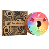 Polymaker Panchroma™ PLA Starlight filament Mars 1.75mm 1 kg CA02017 DFP14417 - 3